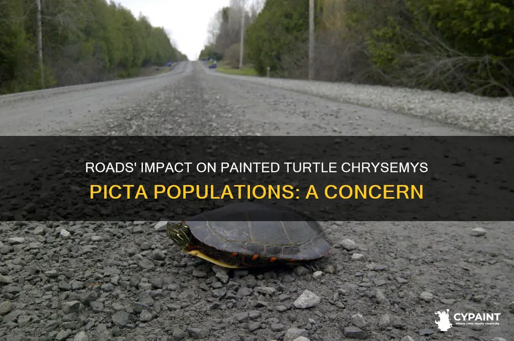 do roads reduce painted turtle chrysemys picta populations