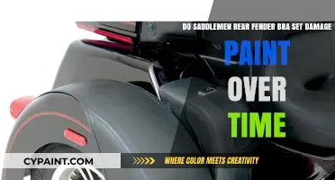 Saddlemen Rear Fender Bra Set: Does It Damage Paint Over Time?