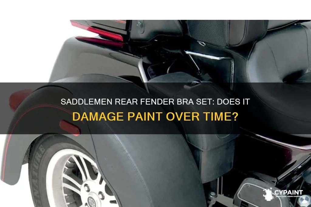 do saddlemen rear fender bra set damage paint over time
