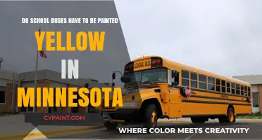 Minnesota School Bus Color Rules: Must They Be Yellow?