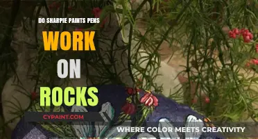 Sharpie Paint Pens on Rocks: Durability, Tips, and Creative Ideas