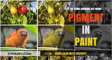 How Individual Color Perception Influences Paint Pigment Visibility