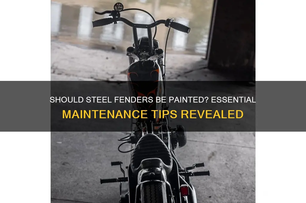 do steel fenders have to be painted