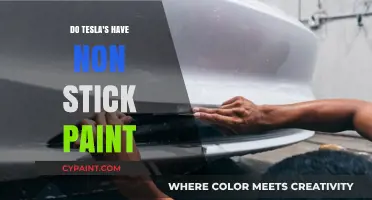Tesla's Paint Durability: Does It Resist Sticking and Scratches?
