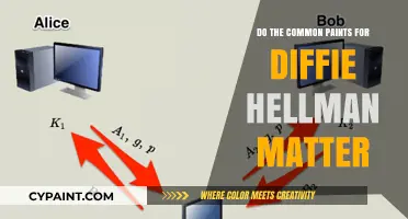 Do Common Paints for Diffie-Hellman Key Exchange Really Matter?
