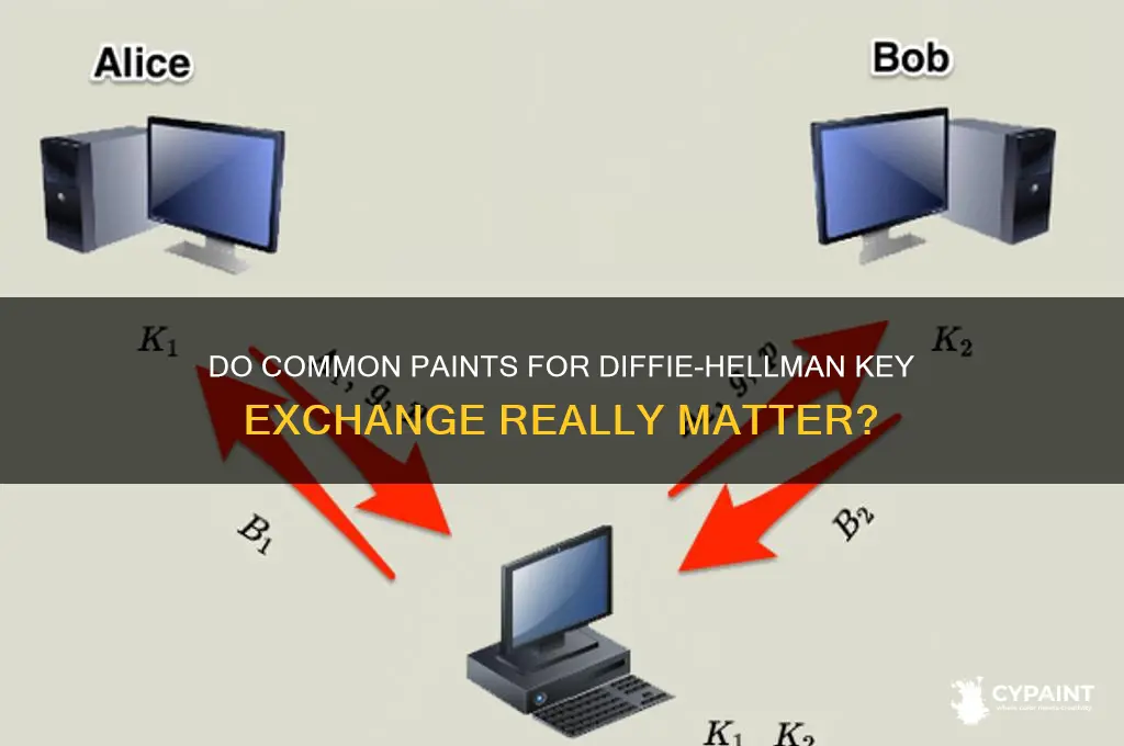 do the common paints for diffie hellman matter