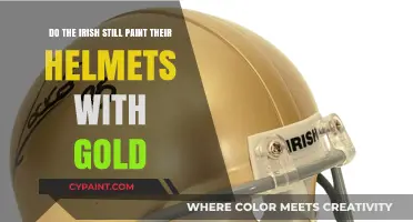 Irish Golden Helmets: Myth or Reality?