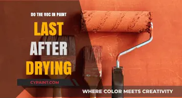 Does VOC Paint Last Longer After Drying? A Comprehensive Guide
