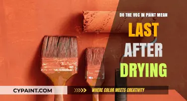 VOC Paint: Do They Last After Drying?