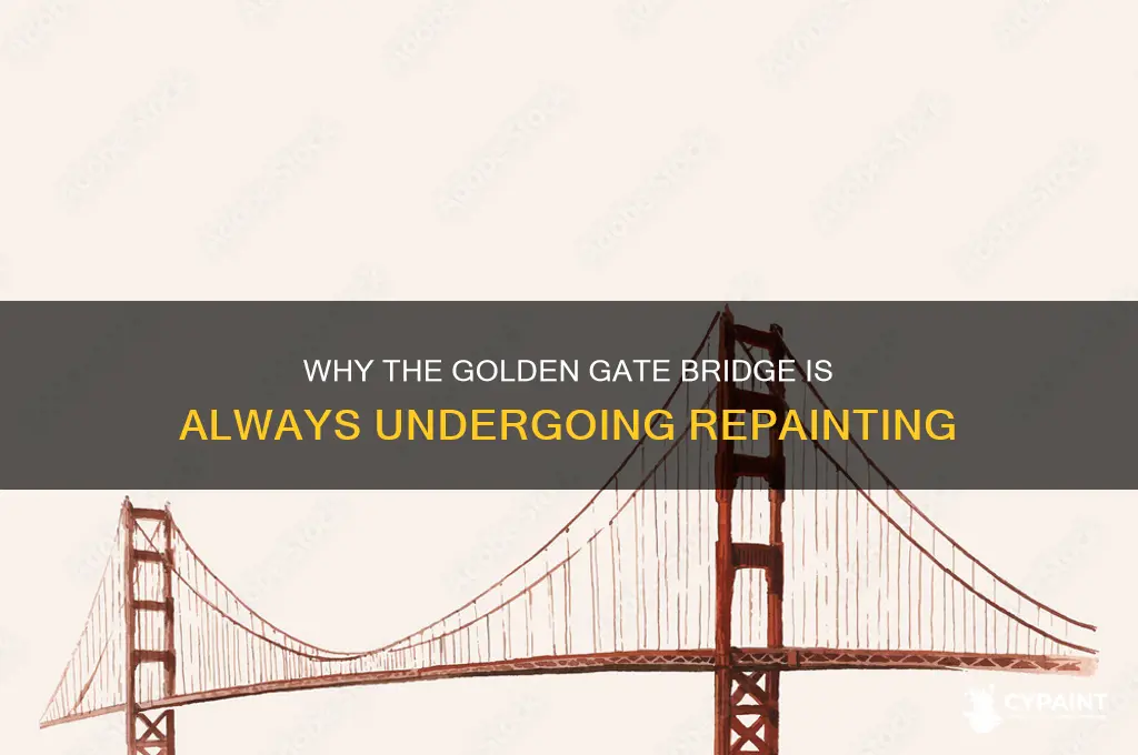 do they constantly paint the golden gate bridge