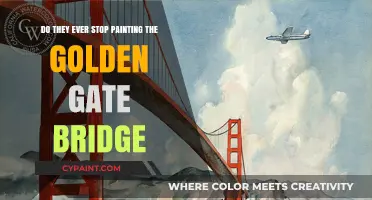 Golden Gate Bridge: An Everlasting Paint Job?