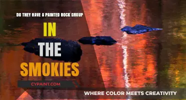 Exploring the Smokies: Painted Rock Groups and Creative Communities