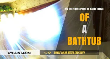 Can You Paint Inside a Bathtub? Exploring Bathtub Refinishing Options