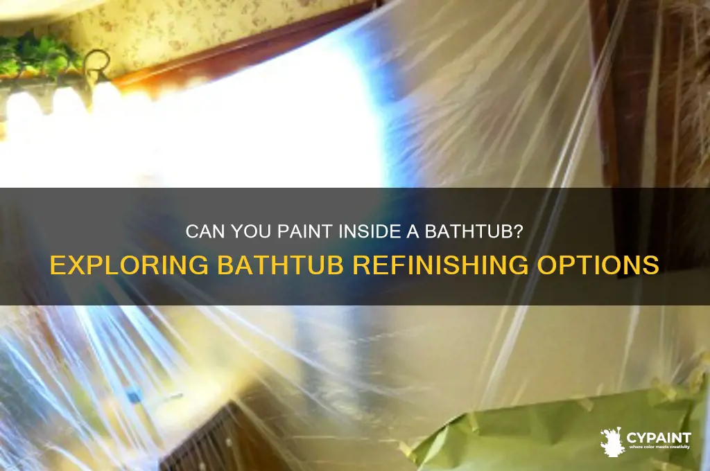 do they have paint to paint inside of a bathtub