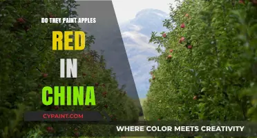 Are Chinese Apples Painted Red? Uncovering the Truth Behind the Myth