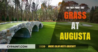 Augusta's Green Secret: The Truth About Painted Grass at the Masters