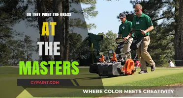 The Masters' Green Secret: Painted Grass or Natural Turf?