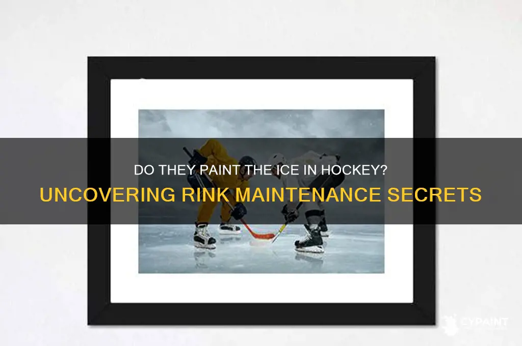 do they paint the ice in hockey