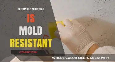 Mold-Resistant Paint: Does It Exist and How Effective Is It?