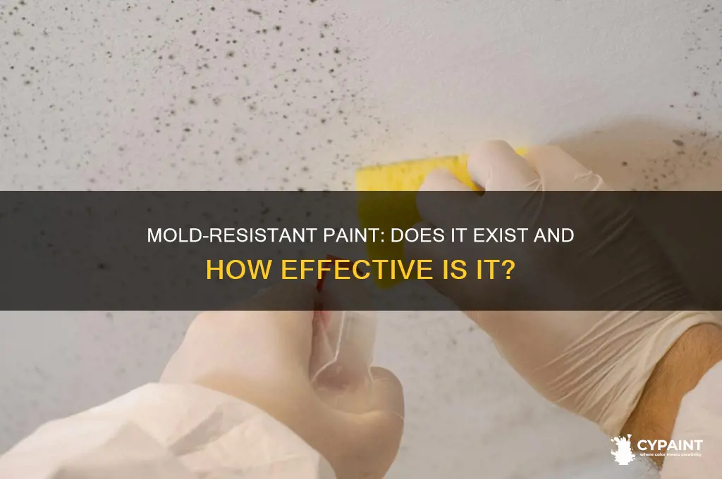 do they sle paint that is mold resistant