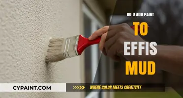 Can You Mix Paint with Effis Mud? A Complete Guide