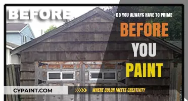 Primer and Paint: When to Prime Before Painting