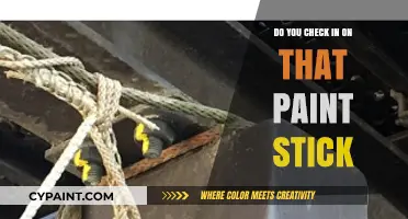 Revisiting Your Paint Stick: A Quick Check-In for Perfect Results