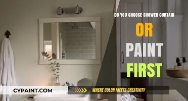 Shower Curtain or Paint First: The Bathroom Design Dilemma