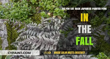Should You Trim Japanese Painted Ferns in Autumn? A Guide
