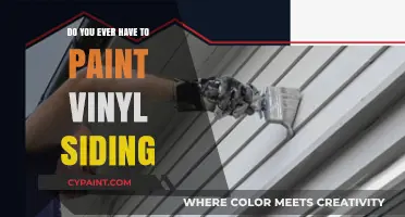 Painting Vinyl Siding: Is It Necessary or a Costly Mistake?