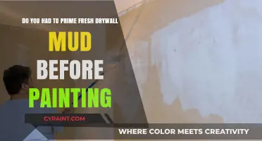 Should You Prime Fresh Drywall Mud Before Painting? Expert Tips