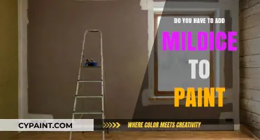 Should You Add Mildewcide to Paint? Benefits and Best Practices