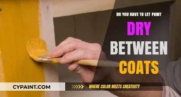 Paint Drying: Multiple Coats, One Less Mistake