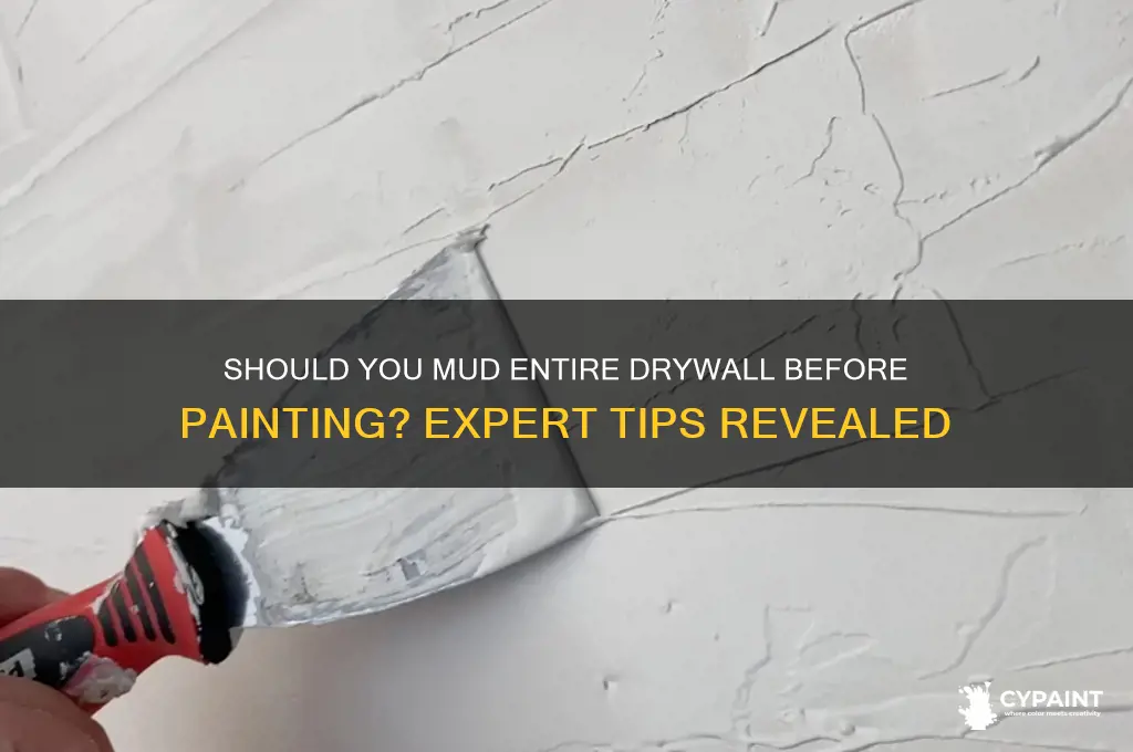 do you have to mud the entire drywall before painting