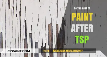 Painting After TSP: Essential Steps for a Flawless Finish
