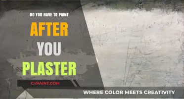 Painting After Plastering: Essential Steps for a Flawless Finish