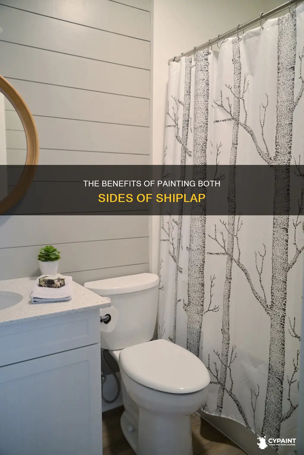 do you have to paint both side of shiplap