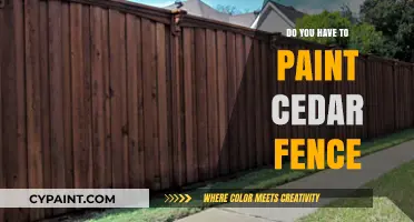 Should You Paint Cedar Fences? Pros, Cons, and Best Practices