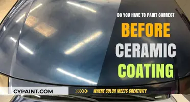The Perfect Paint Job: Essential Before Ceramic Coating