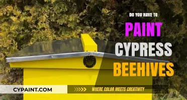 Should You Paint Cypress Beehives? A Guide for Beekeepers