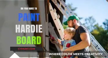 Painting Hardie Board: Essential or Optional? Expert Insights Revealed