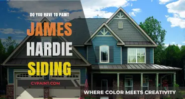 Painting James Hardie Siding: Essential or Optional? Expert Insights