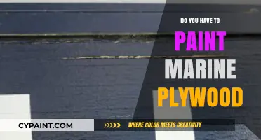 Should You Paint Marine Plywood? Essential Tips for Durability and Protection