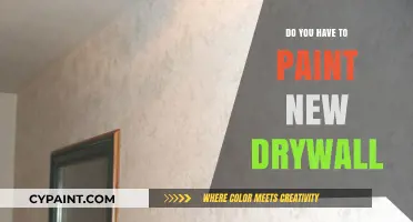 Should You Paint New Drywall? Essential Tips for a Flawless Finish
