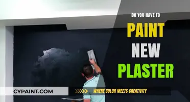 Should You Paint New Plaster? Essential Tips for Fresh Walls