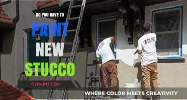 Should You Paint New Stucco? Essential Tips for Homeowners