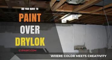 Should You Paint Over Drylok? Essential Tips for Masonry Waterproofing