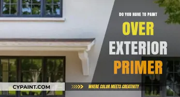 Exterior Primer Painting: Is a Topcoat Always Necessary?