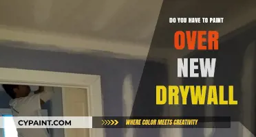 Should You Paint New Drywall? Essential Tips for a Flawless Finish