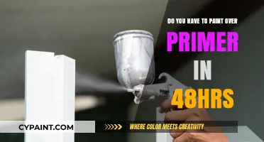 Primer and Paint: The 48-Hour Rule Explained